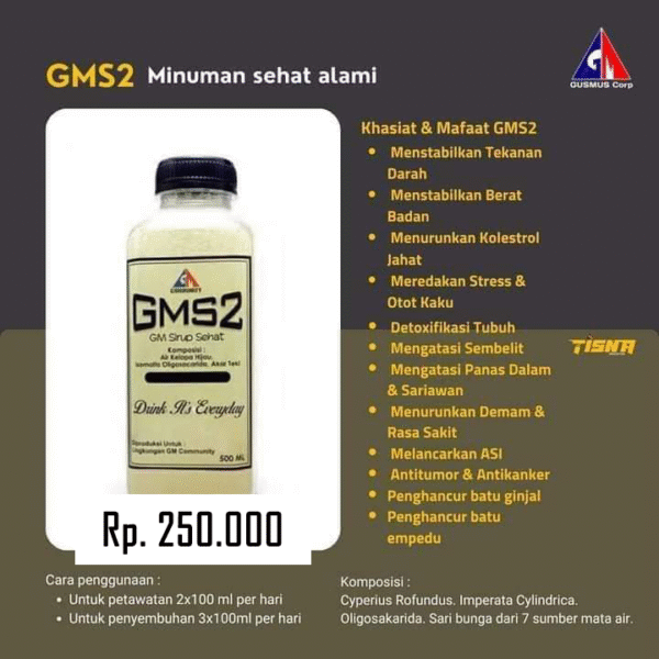 GMS 2